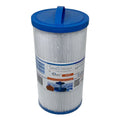 Darlly SaniStream Spa Filter DL701