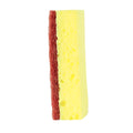 Spa Sponge