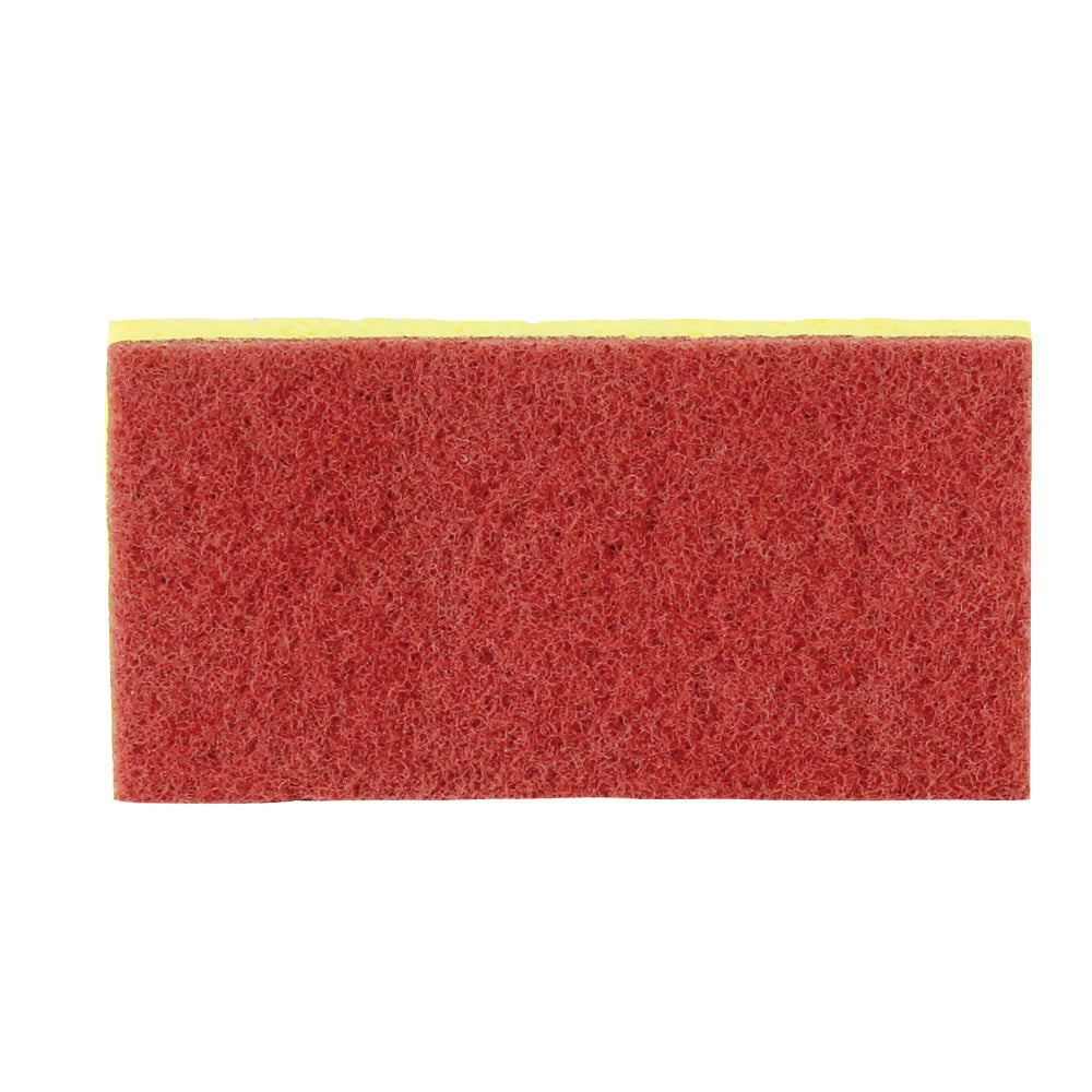 Spa Sponge
